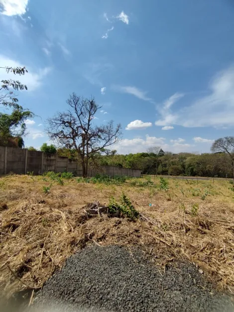 imagem 3 - Terreno para locação no bairro Jardim Karaiba imagem 3 - Terreno para locação no bairro Jardim Karaiba