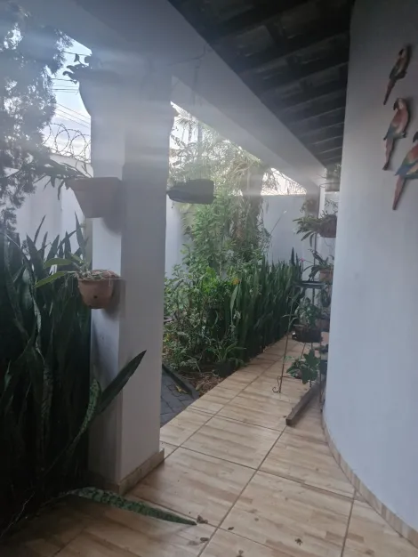 imagem 2 - Casa para venda no bairro Segismundo Pereira imagem 2 - Casa para venda no bairro Segismundo Pereira