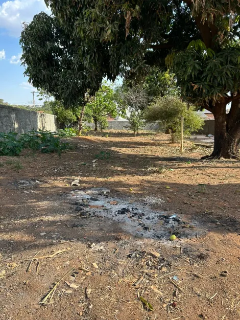 imagem 1 - Terreno para venda no bairro Pampulha imagem 1 - Terreno para venda no bairro Pampulha