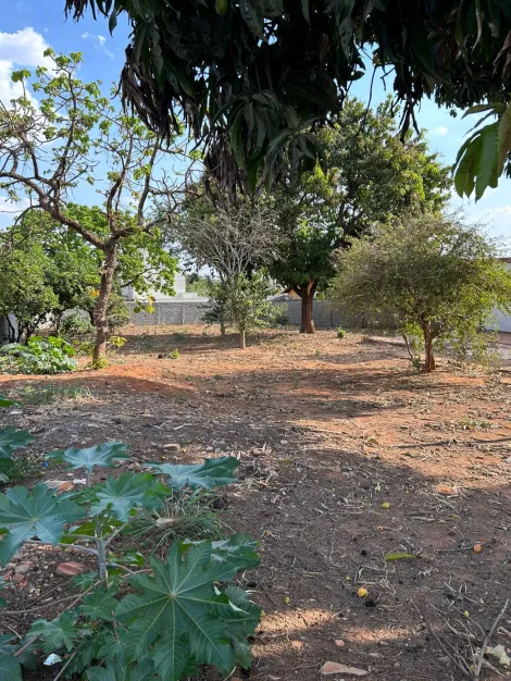 imagem 4 - Terreno para venda no bairro Pampulha imagem 4 - Terreno para venda no bairro Pampulha
