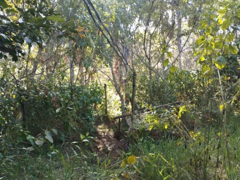 imagem 2 - Sitio para venda no bairro Zona Rural imagem 2 - Sitio para venda no bairro Zona Rural