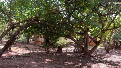 imagem 3 - Sitio para venda no bairro Zona Rural imagem 3 - Sitio para venda no bairro Zona Rural