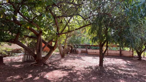 imagem 4 - Sitio para venda no bairro Zona Rural imagem 4 - Sitio para venda no bairro Zona Rural
