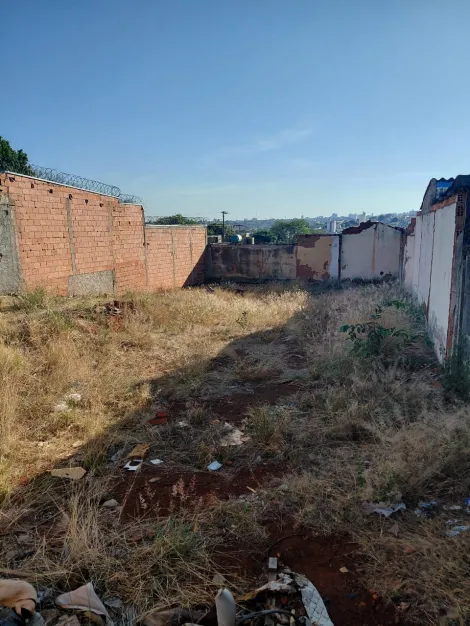 imagem 3 - Terreno para venda Bairro Jaraguá imagem 3 - Terreno para venda Bairro Jaraguá