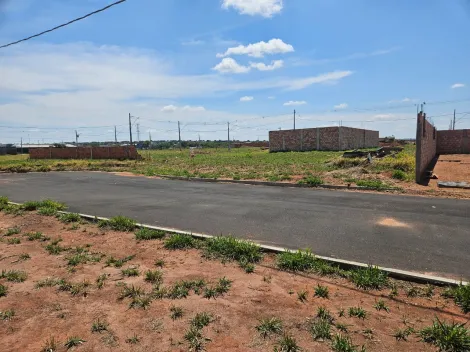 imagem 2 - Terreno para venda no bairro Laranjeiras imagem 2 - Terreno para venda no bairro Laranjeiras