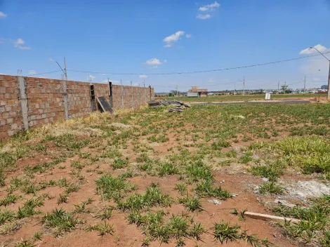 imagem 4 - Terreno para venda no bairro Laranjeiras imagem 4 - Terreno para venda no bairro Laranjeiras