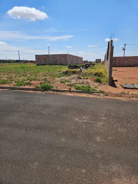 imagem 5 - Terreno para venda no bairro Laranjeiras imagem 5 - Terreno para venda no bairro Laranjeiras