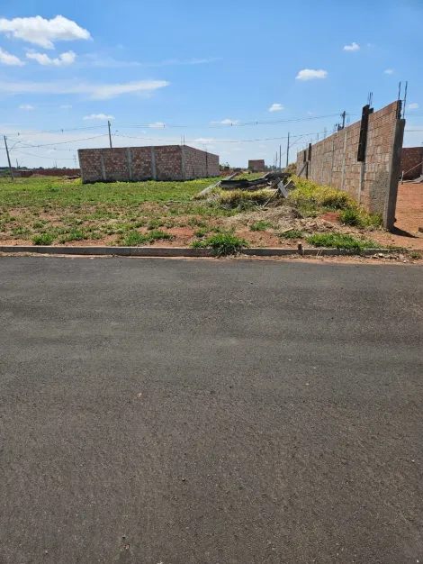 imagem 1 - Terreno para venda no bairro Laranjeiras imagem 1 - Terreno para venda no bairro Laranjeiras