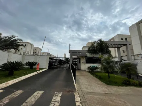 imagem 1 - Apartamento Para Locação No Bairro Laranjeiras imagem 1 - Apartamento Para Locação No Bairro Laranjeiras