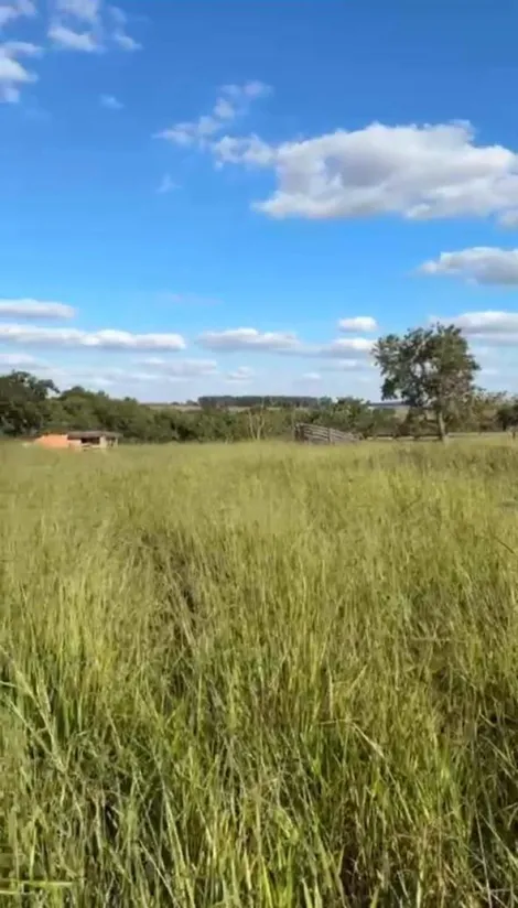 imagem 1 - Fazendo para venda imagem 1 - Fazendo para venda