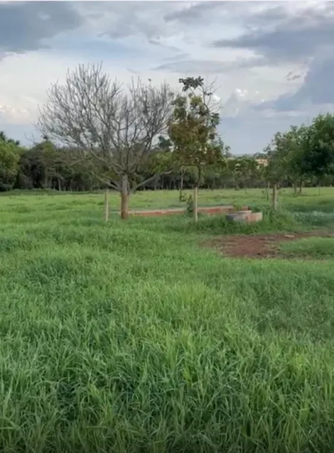 imagem 2 - Fazendo para venda imagem 2 - Fazendo para venda