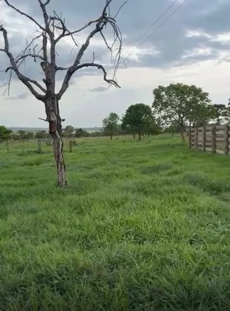 imagem 3 - Fazendo para venda imagem 3 - Fazendo para venda