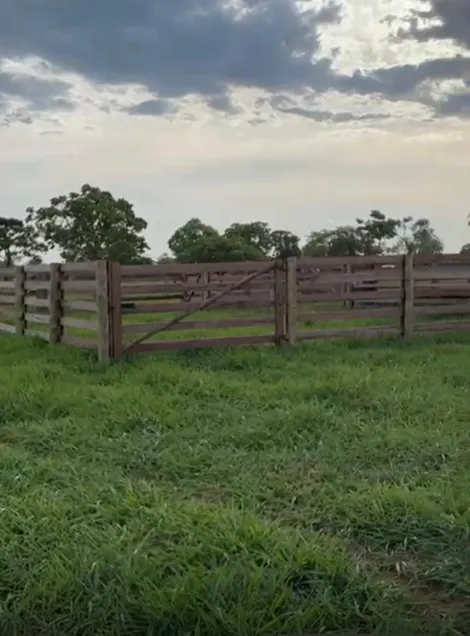 imagem 4 - Fazendo para venda imagem 4 - Fazendo para venda