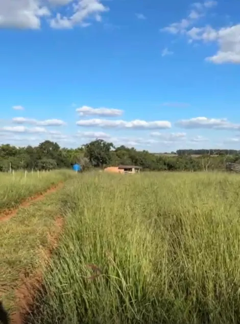 imagem 5 - Fazendo para venda imagem 5 - Fazendo para venda